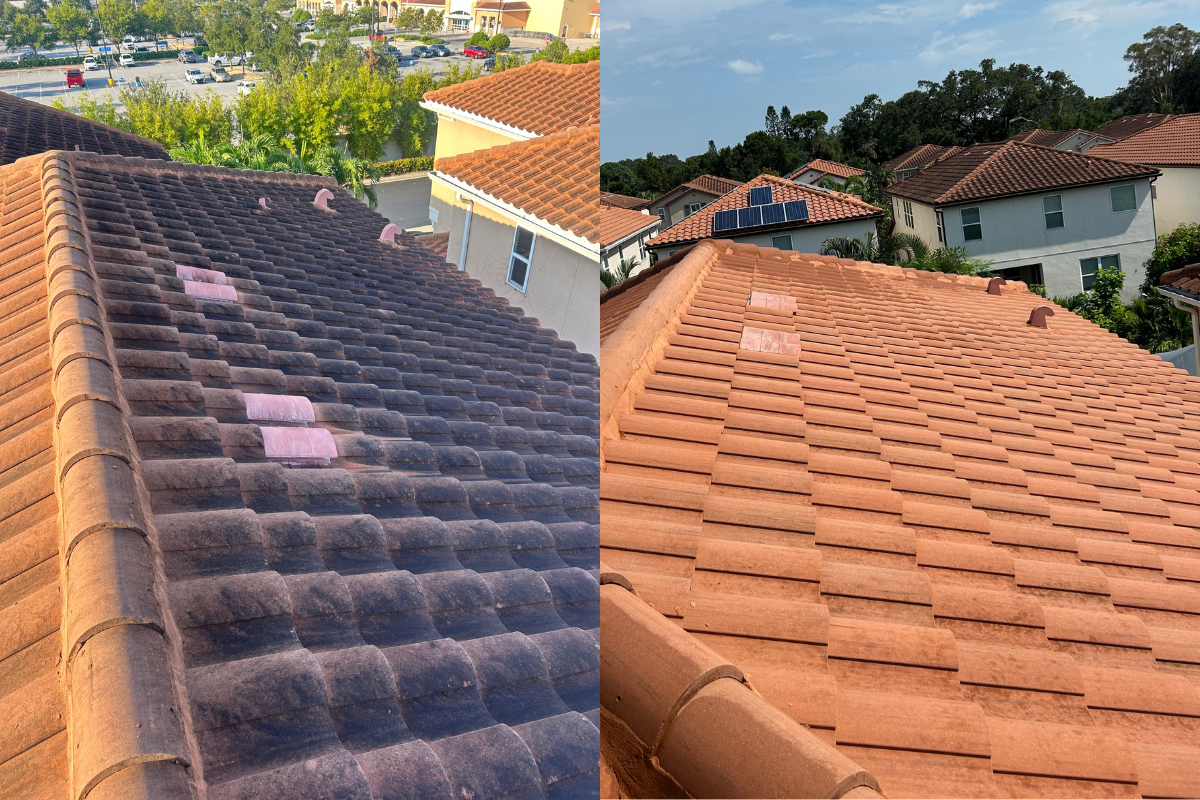 Roof soft wash before and after results in pinellas county FL